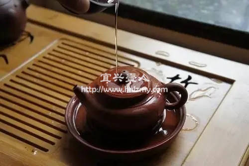 使用正確的養壺方法避免養花