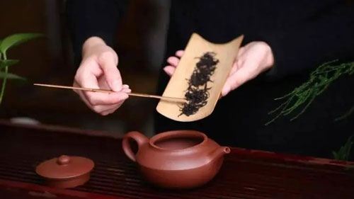 紫砂壺泡什么茶