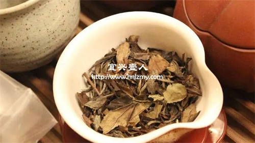 什么茶葉不適合用紫砂壺來沖泡