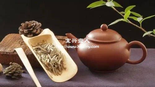 什么紫砂壺沖泡白茶最合適
