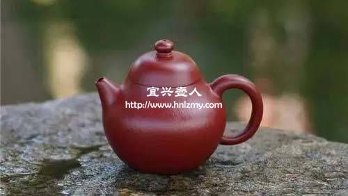 文旦壺適合泡什么茶2