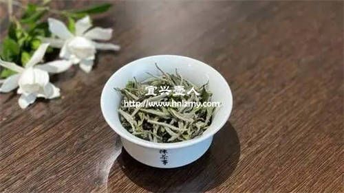 白茶用哪種紫砂壺沖泡最好