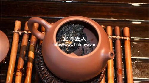 紫砂壺可以泡不同的普洱生茶嗎