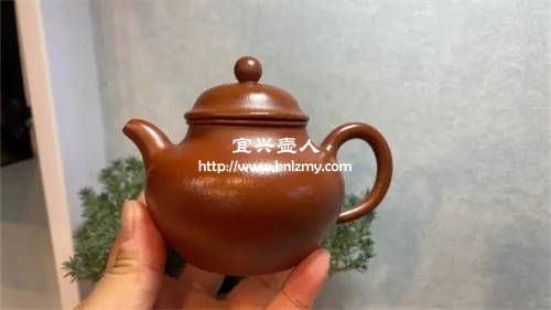 沒有鐵質點的朱泥壺是正常的
