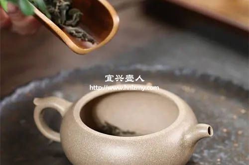 生普用什么紫砂壺泡最好