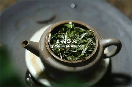 白牡丹用多大的紫砂壺泡最合適