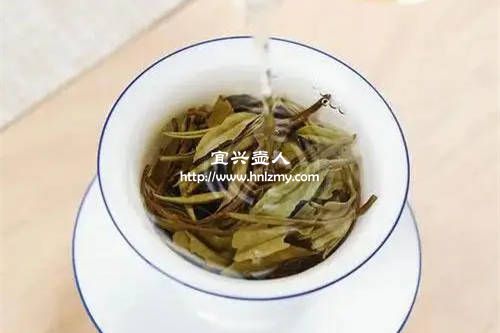 白牡丹用多大的紫砂壺泡最合適