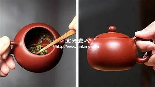 老白茶用多大的紫砂壺泡最合適