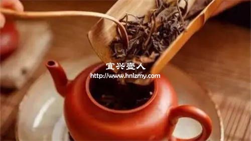 老白茶用多大的紫砂壺泡最合適