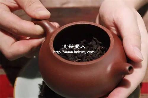 喝巖茶用紫砂壺好嗎