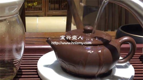 白開水淋紫砂壺能養壺嗎