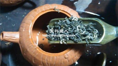 洞庭碧螺春能用紫砂壺泡嗎 3