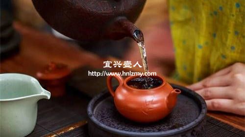 已經養過的紫砂壺也能更換茶葉