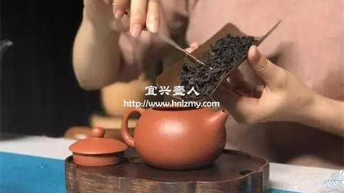 紫砂壺泡普洱茶