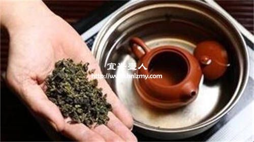 紫砂壺開壺在水中放入茶葉
