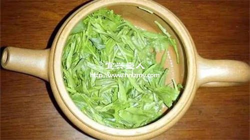 一般用什么茶養紫砂壺
