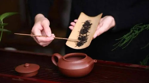 紫砂壺投放普洱茶的正確動作