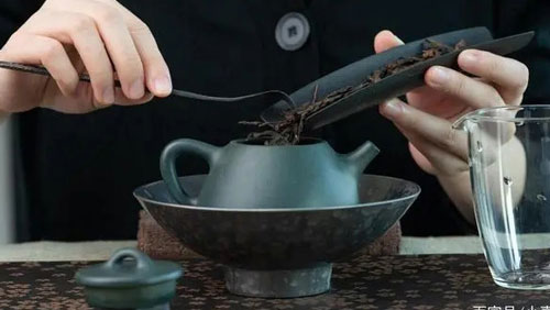 紫砂石瓢壺適合泡什么茶