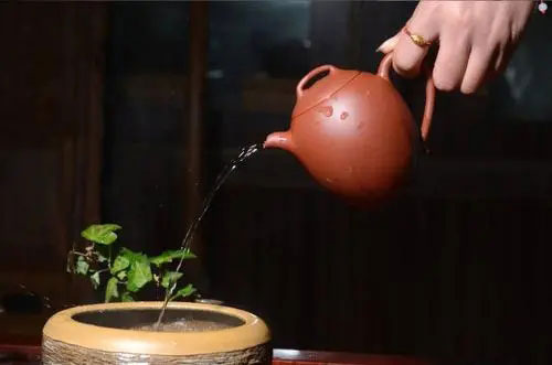 紫砂壺泡茶出湯時間要多久